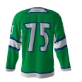 Nhalers Green Hockey Jersey back