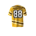 Armadillos Gold Softball Jersey (2)