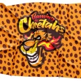 Flaming Hot Cheetahs Softball Jersey