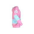 Pittsburgh PINK Hoodie (1)