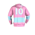 Pittsburgh PINK Hoodie (2)