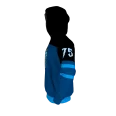 Ravenclaw Hoodie (1)