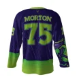 Sour Slappers Hockey Jersey back