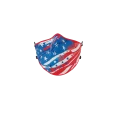 Stars and Stripes Face Mask