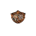 Tiger King Face Mask