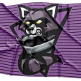 Trash Pandas Purple Softball Jersey