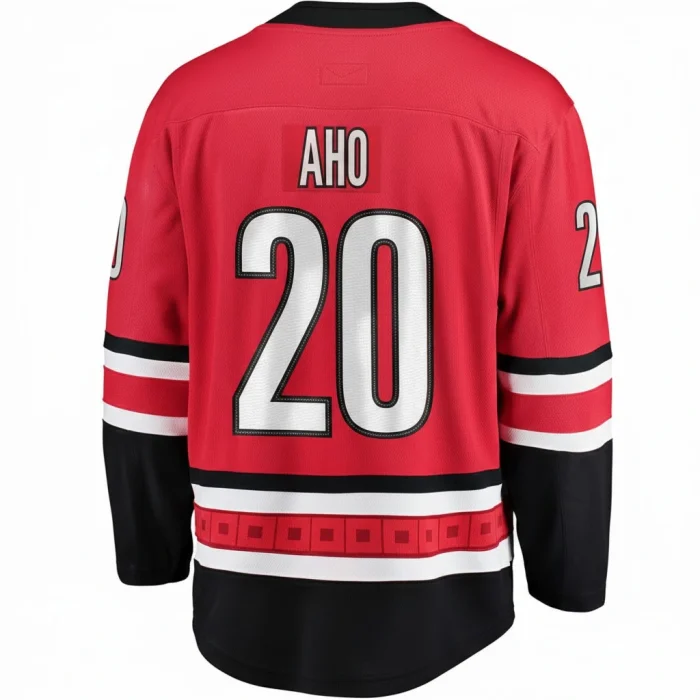 ice hockey 30 (1) ice hockey 30 (1)