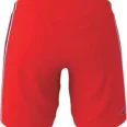 shorts (17)