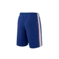 Beers Blue Softball Shorts back